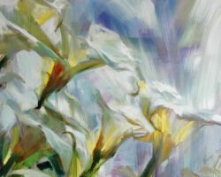 Arum Lilies I