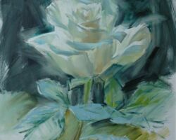 Single Rose