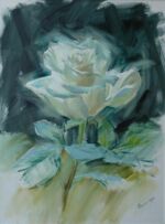 Single Rose Single Rose